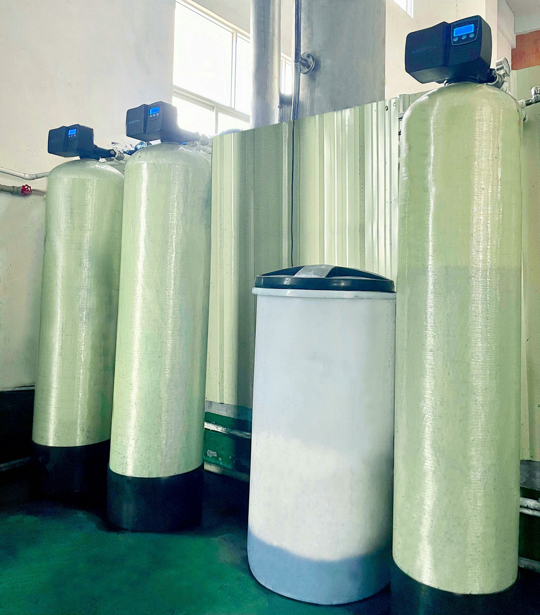 DiSaiNuo Vitamin Group electronic motor truck scale