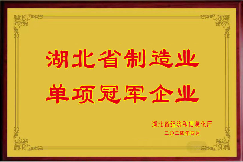 上海寶鋼物流3*20m電子汽車衡